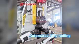 Automated Ring Rolling Machine D51K